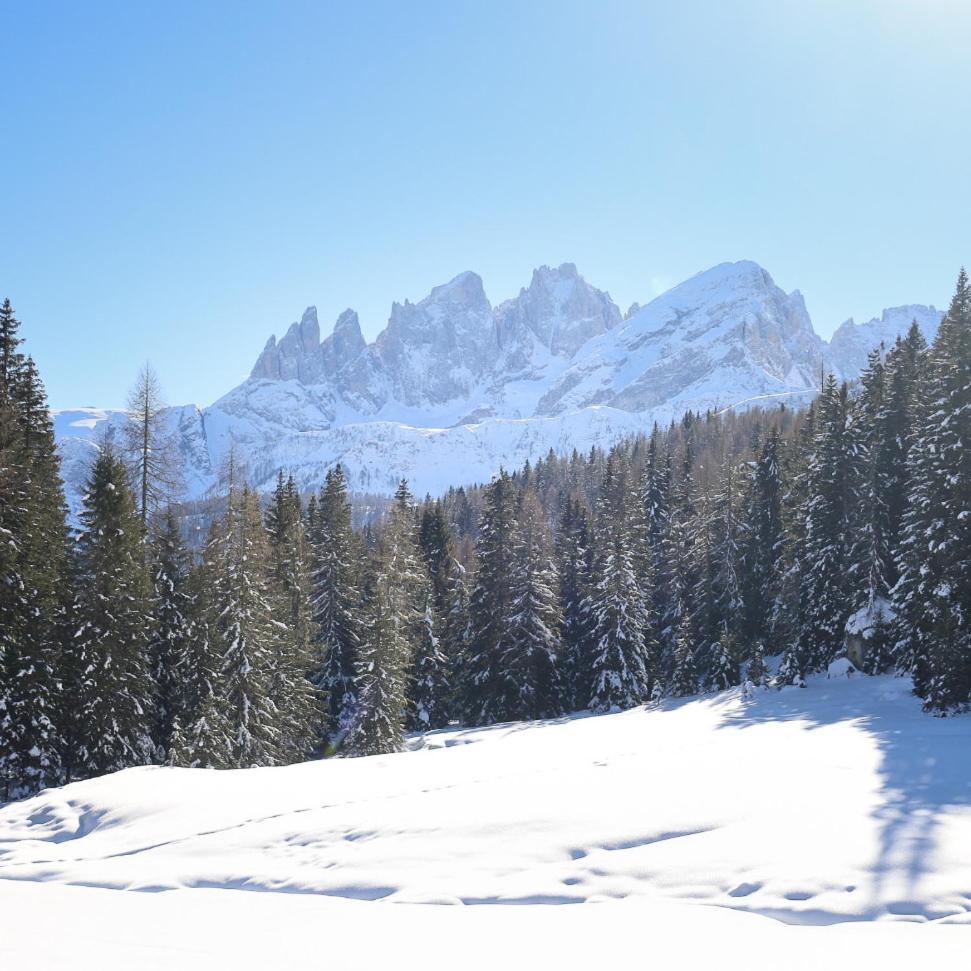 Rifugio Flora Alpina Hotell Passo San Pellegrino Eksteriør bilde
