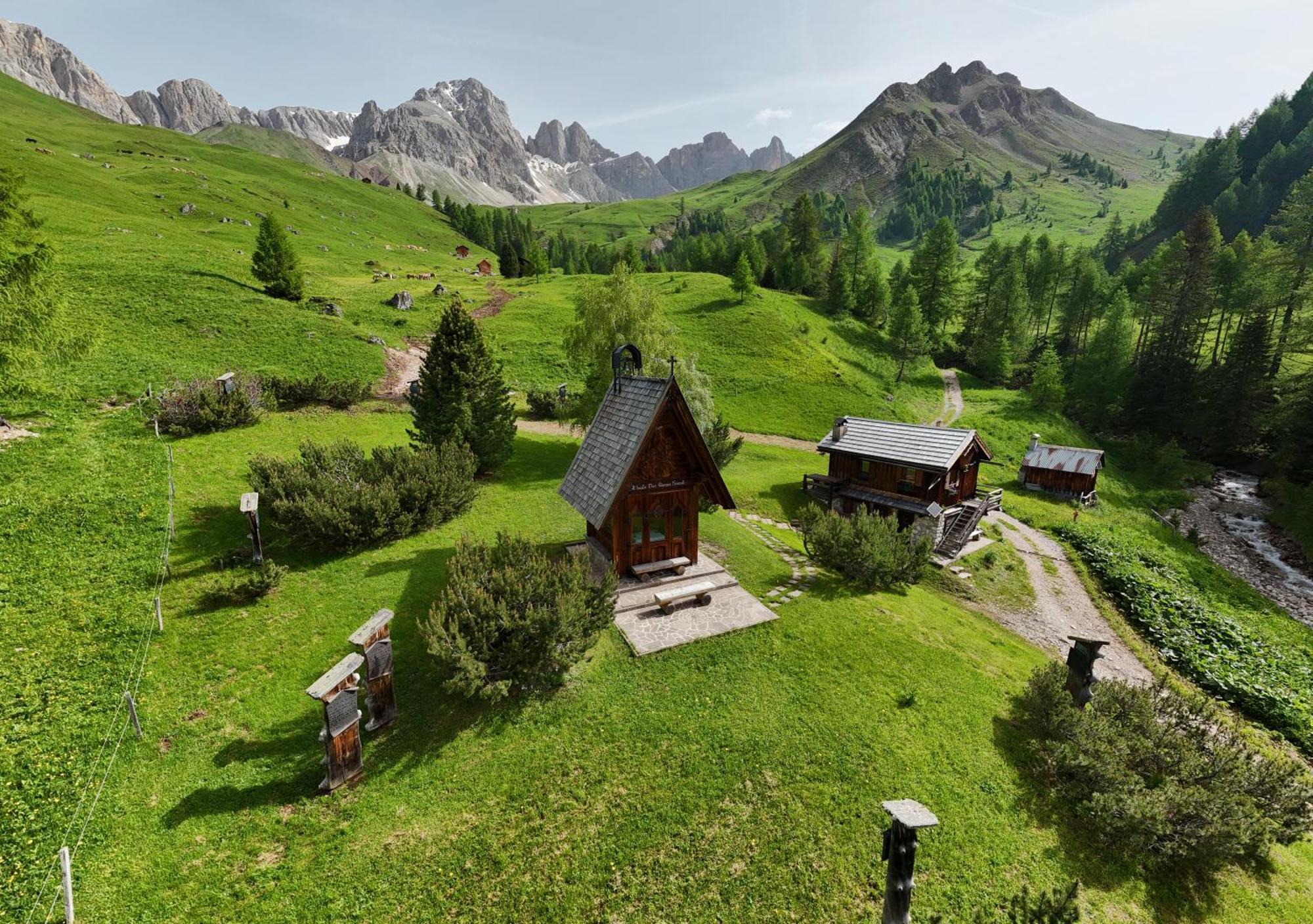Rifugio Flora Alpina Hotell Passo San Pellegrino Eksteriør bilde